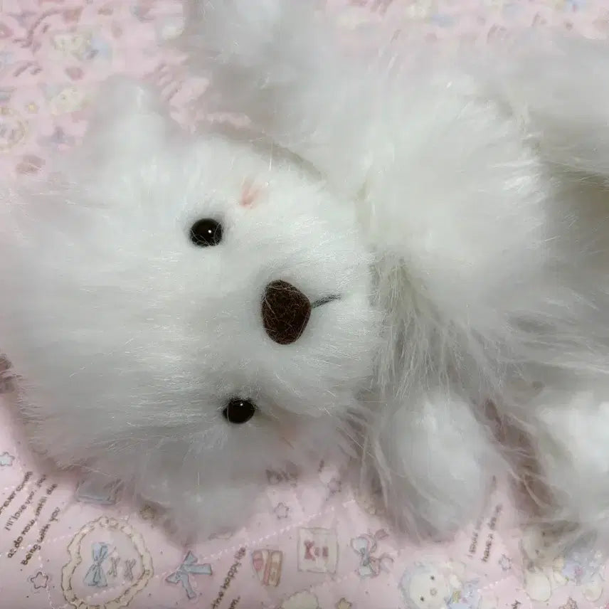 [SOLD OUT] 고전 복슬이 빈티지 강아지 인형