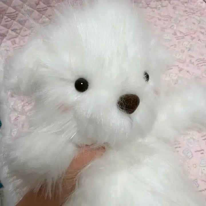 [SOLD OUT] 고전 복슬이 빈티지 강아지 인형