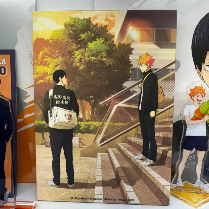 [BUNJANG] Haikyu 10th Anniversary Canvas / 하이큐 10주년 캔버스