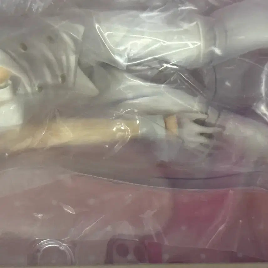 [BUNJANG] Ten Count Shirotani Tadaomi 1/8 Scale Figure by Pring / 텐카운트 시로타니 타다오미 피규어 1/8 스케일 프링 피규어