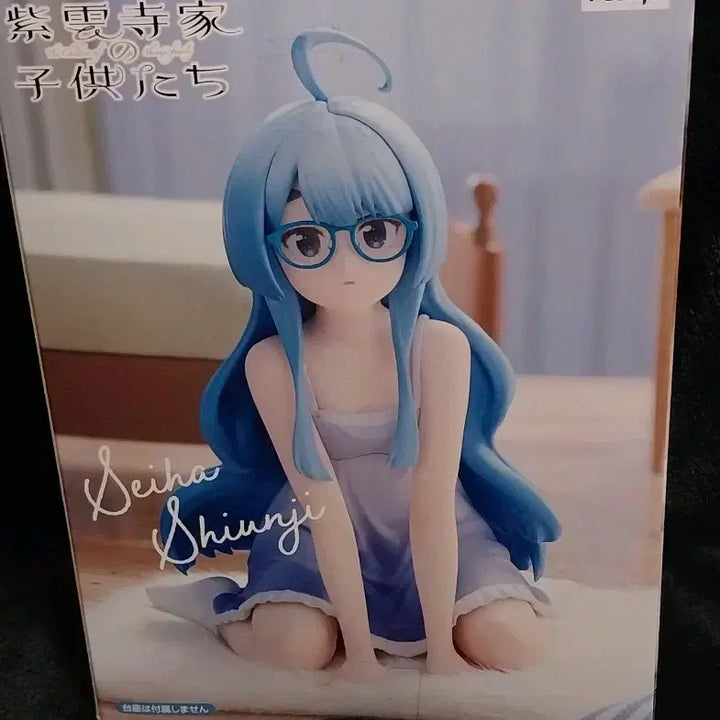 [BUNJANG] FuRyu 시운지 세이하 피규어 / FuRyu 시운지 세이하 피규어