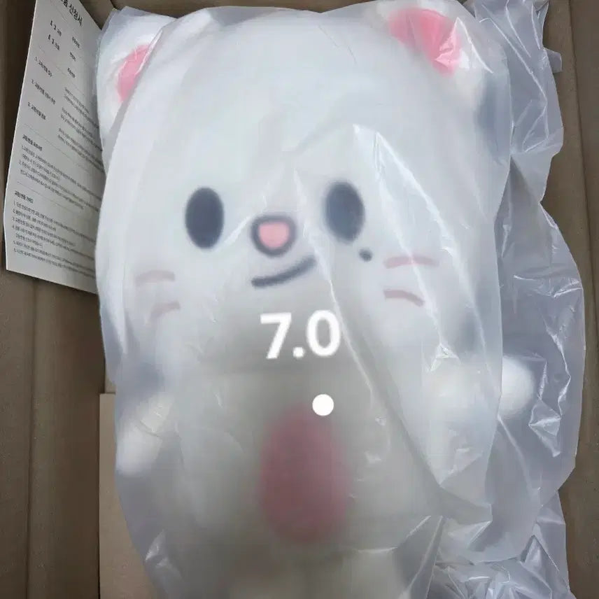 [SOLD OUT] 스키주 지니렛 가방 팬미팅 굿즈 인형