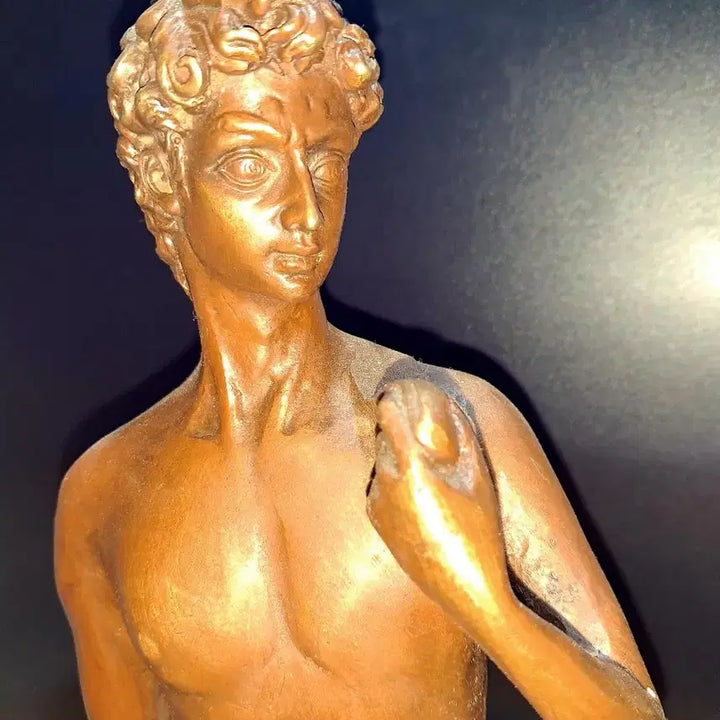 [BUNJANG] Bronze David Statue Sculpture / 다비드상 동상 조각 브론즈