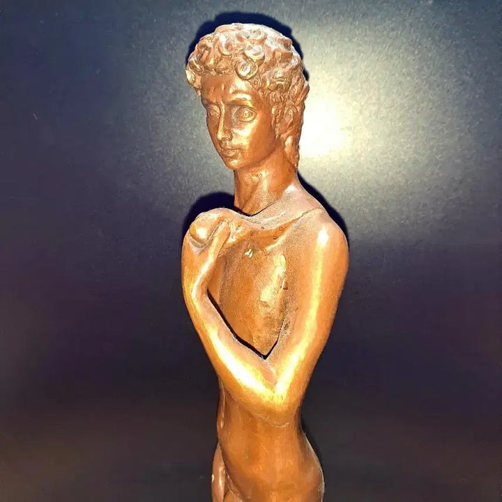 [BUNJANG] Bronze David Statue Sculpture / 다비드상 동상 조각 브론즈