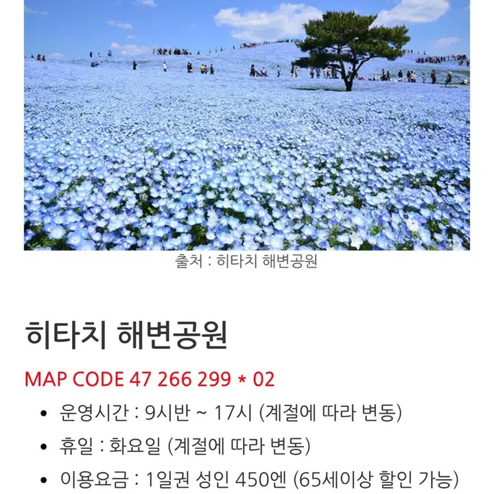 [BUNJANG] [새상품] 하늘꽃 네모필라 기모노(유카타) 풀세트 / [새상품] 하늘꽃 네모필라 기모노(유카타) 풀세트 -졸업사진 여행