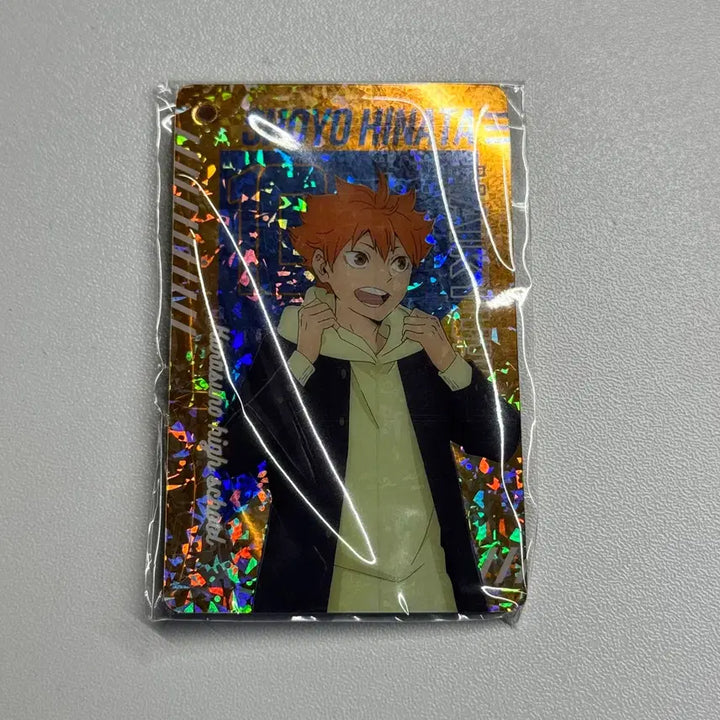 [BUNJANG] Haikyuu!! Shoyo Hinata Keyring / 하이큐 히나타 키링