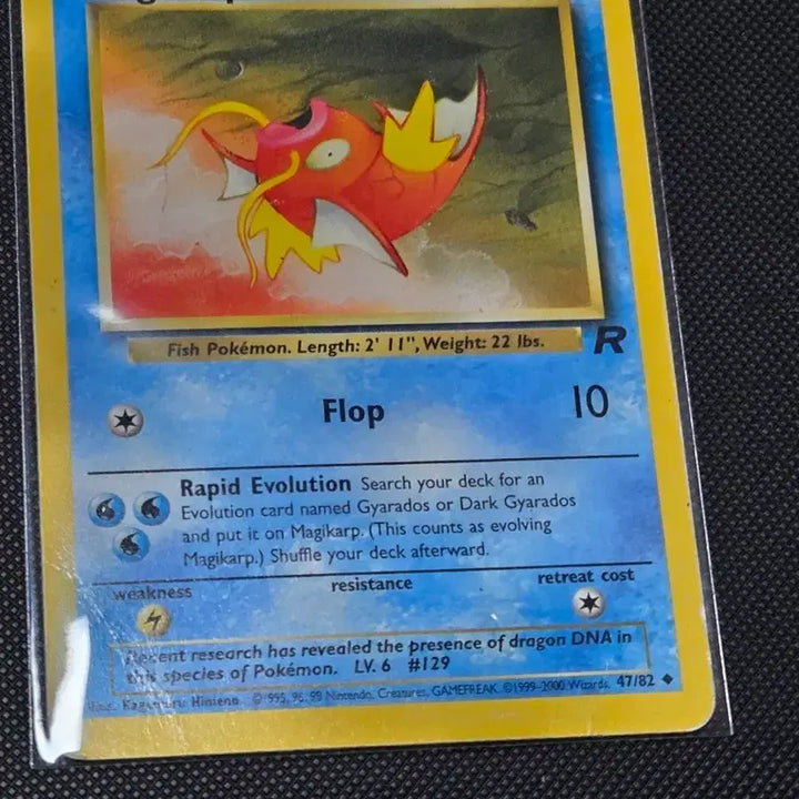 [BUNJANG] Pokemon Magikarp English Card / 포켓몬 카드 잉어킹 (Magikarp) 영판