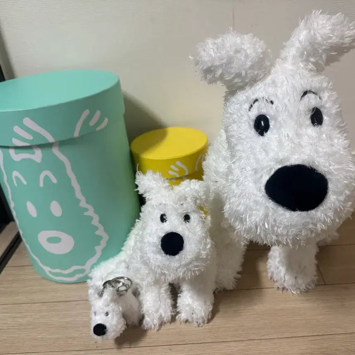 [BUNJANG] Tintin Shop Millu Doll Bundle Set / 틴틴샵 밀루인형