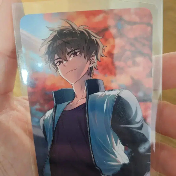 [BUNJANG] Scosism Koyo Photocard / 스코시즘 코요 포카