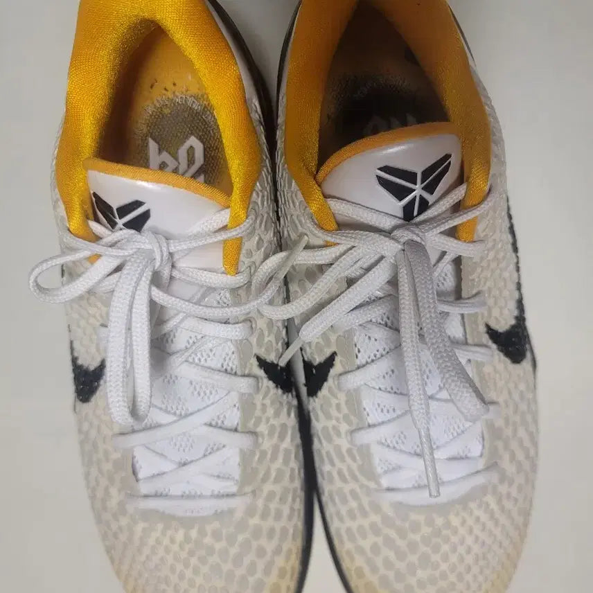 [SOLD OUT] [275] 코비6 델솔