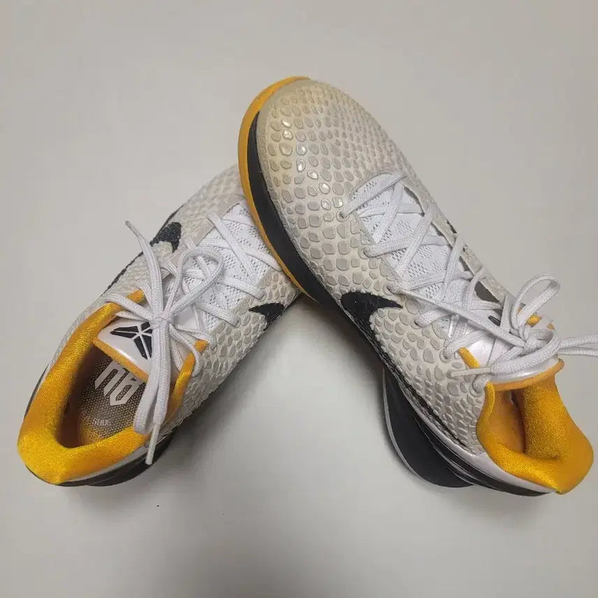 [SOLD OUT] [275] 코비6 델솔