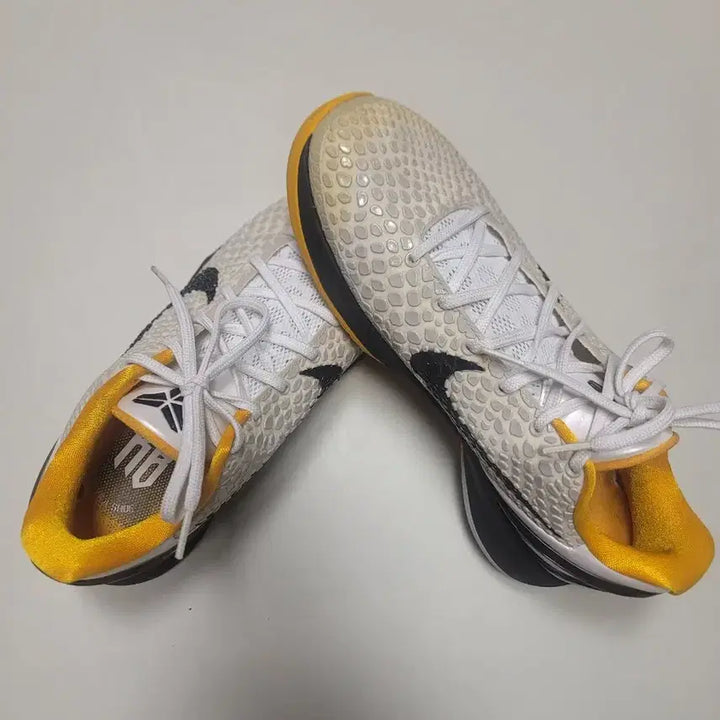 [SOLD OUT] [275] 코비6 델솔