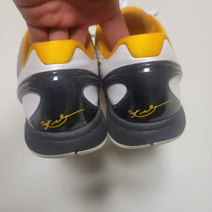 [SOLD OUT] [275] 코비6 델솔