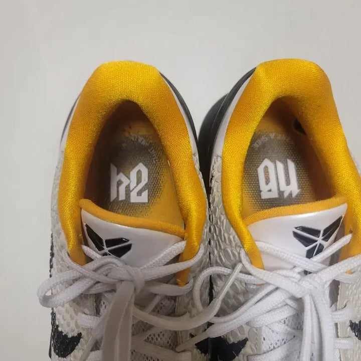 [SOLD OUT] [275] 코비6 델솔