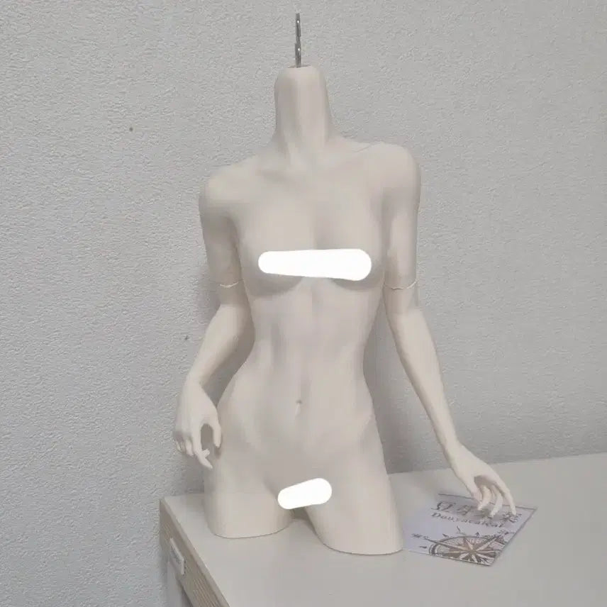 [SOLD OUT] 구관 SD 상체 구체관절인형 상체 인형