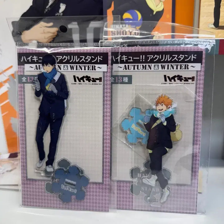 [BUNJANG] Haikyu Winter Acrylic Bundle Set / 하이큐 겨울 아크릴 일괄 판매