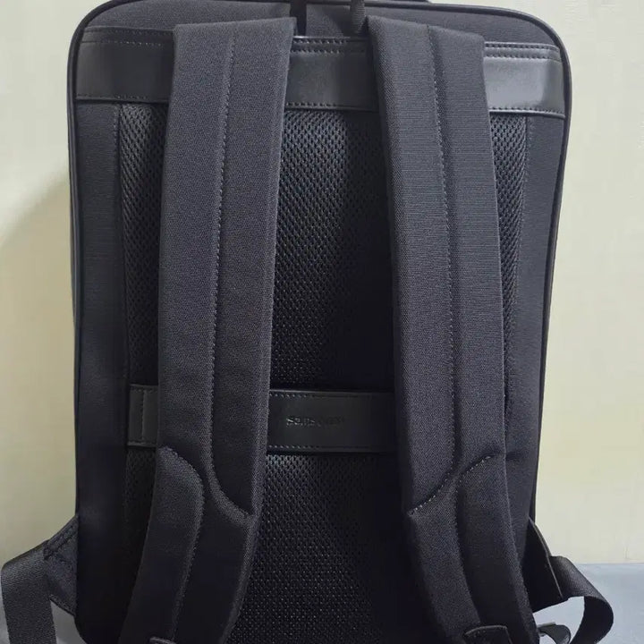 [BUNJANG] Samsonite BALVENIE Backpack / [SS급] 샘소나이트 BALVENIE 백팩