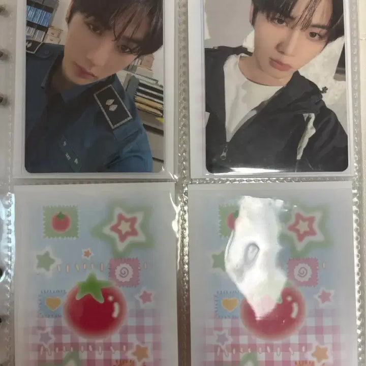 [SOLD OUT] 보넥도 탈덕 처분-태산 포카 일괄 (급처)