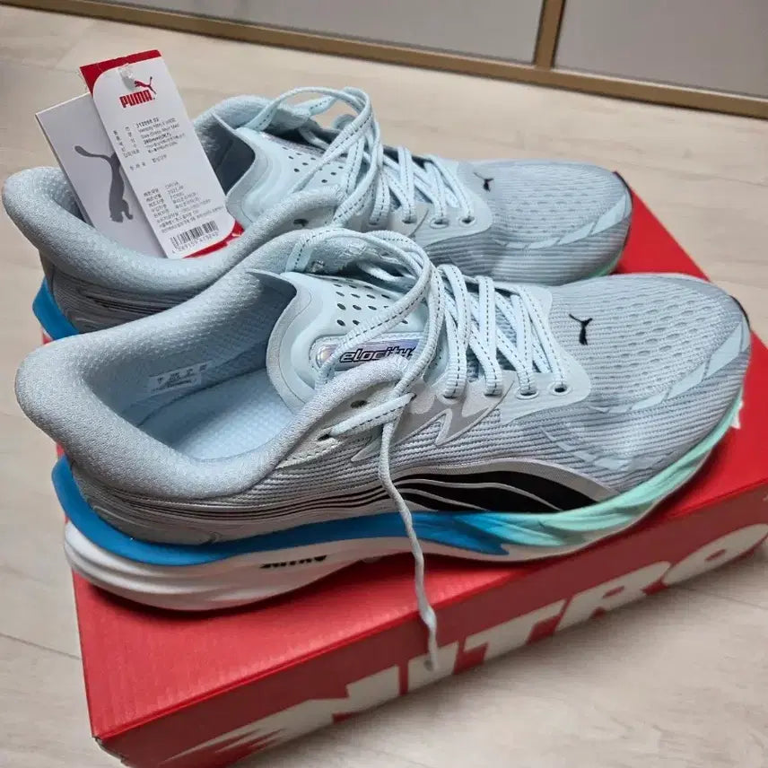[BUNJANG] Velocity Nitro 4 Running Shoes / 벨로시티 나이트로4 260 판매합니다