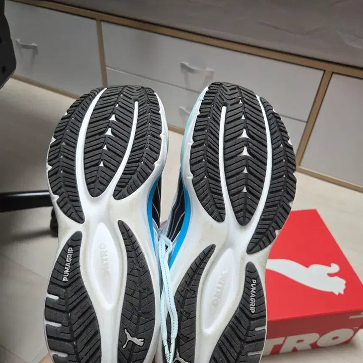 [BUNJANG] Velocity Nitro 4 Running Shoes / 벨로시티 나이트로4 260 판매합니다