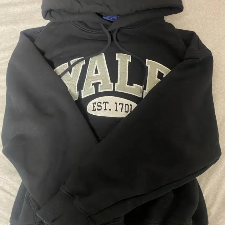 [BUNJANG] Yale Two-Tone Arch Hoodie (Black) - Size S / 예일 투톤아치 후드_블랙 (s)