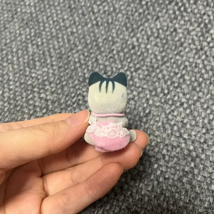 [SOLD OUT] 실바니안 회색고양이 아기
