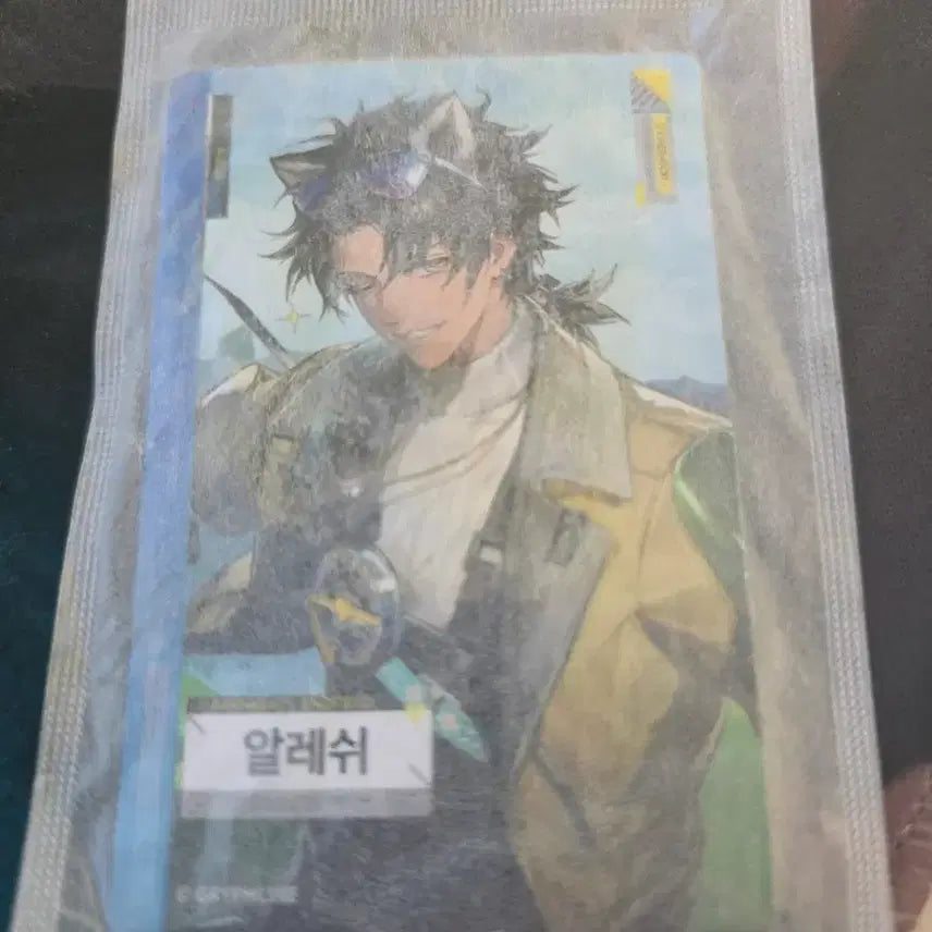 [SOLD OUT] 엔드필드 알레쉬 포토카드