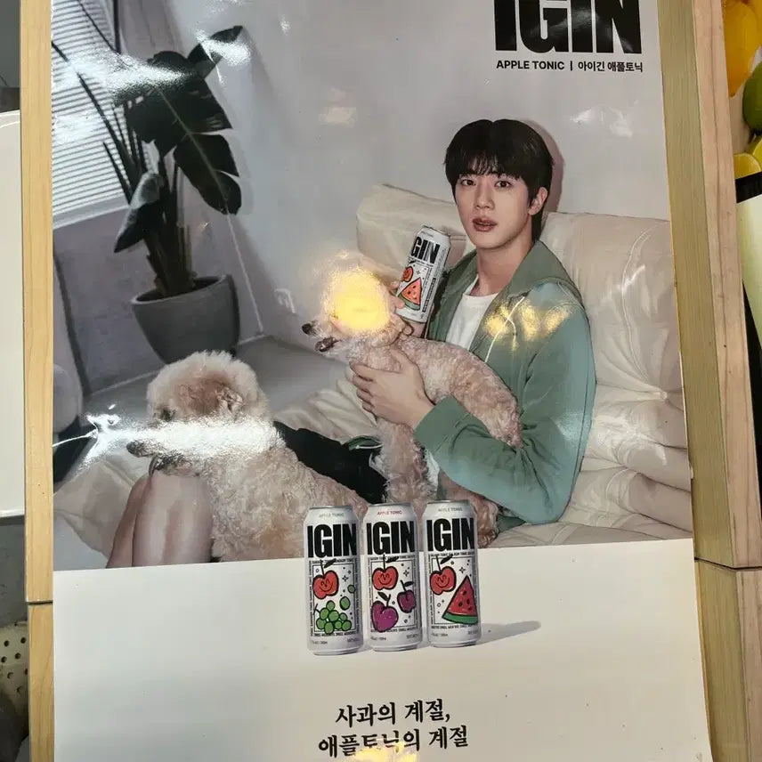 [SOLD OUT] 아이긴 애플토닉 포스터 진