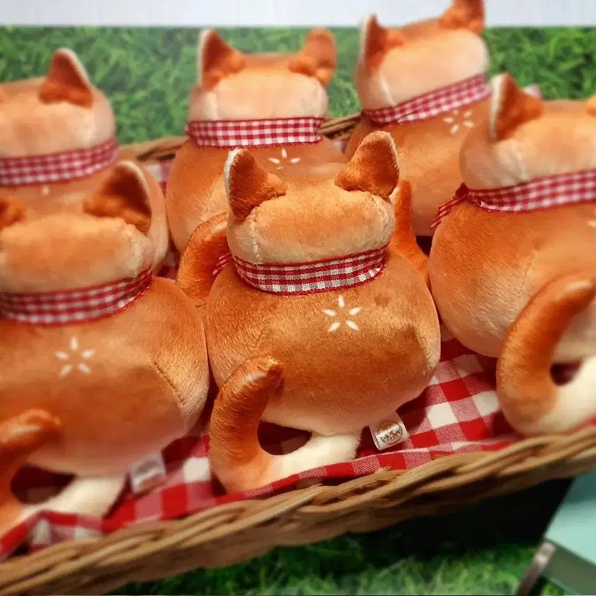 [SOLD OUT] 모닝냥 인형 핸드메이드 솜인형 고양이 식빵