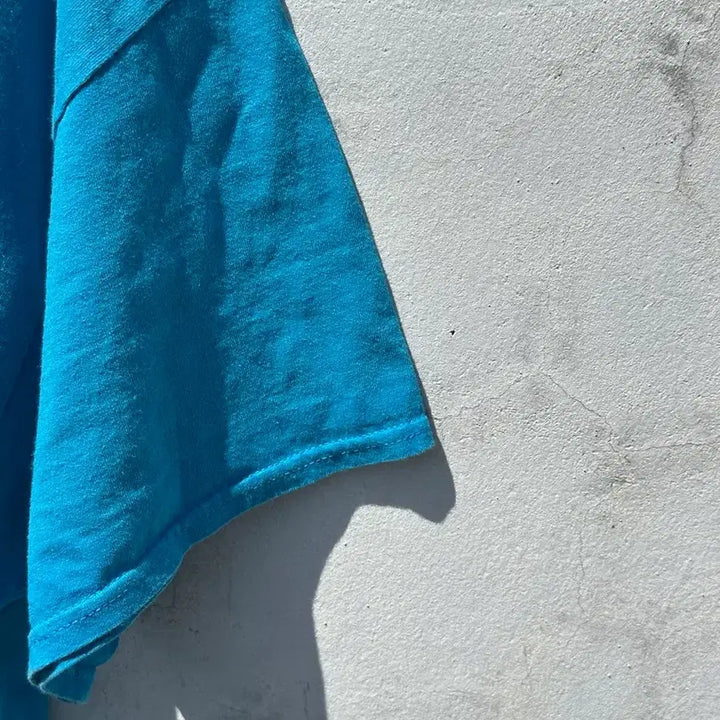 [BUNJANG] WRESTLEMANIA Vintage Blue T-shirt / [3XL] WRESTLEMANIA 블루톤 빈티지 반팔 티셔츠