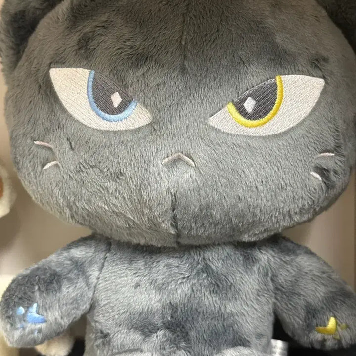 [SOLD OUT] 정택운 레오 냥운 냥운이 25cm 인형 양도 판매 빅스 vixx leo