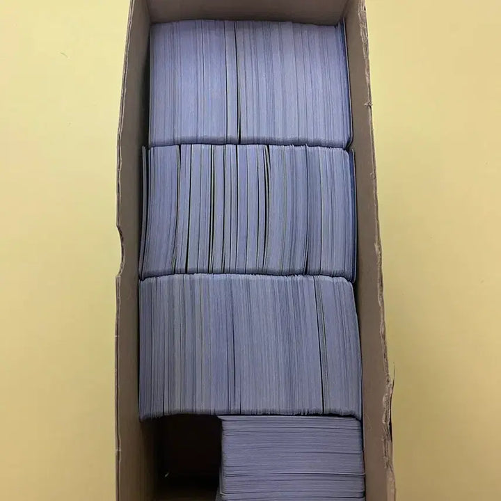 [SOLD OUT] 포켓몬카드 일반카드 (일괄판매)