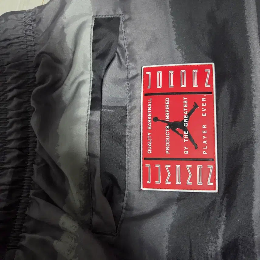 [BUNJANG] Nike Jordan Legacy AJ11 Print Active Shorts / [asia XL] 나이키 조던 레거시 AJ11 프린트 액티브 반바지 쇼츠