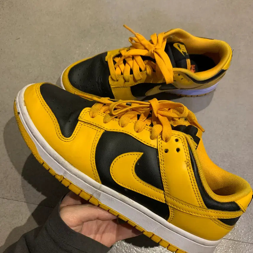 [BUNJANG] Nike Dunk Low Retro Championship Goldenrod Sneakers / 250 나이키 덩크 로우 레트로 챔피언쉽 골든로드
