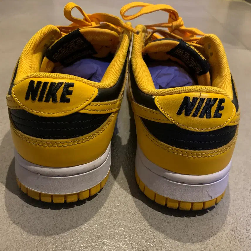 [BUNJANG] Nike Dunk Low Retro Championship Goldenrod Sneakers / 250 나이키 덩크 로우 레트로 챔피언쉽 골든로드