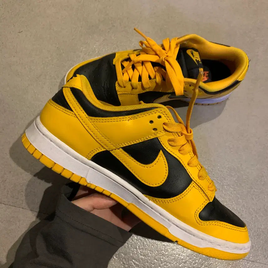 [BUNJANG] Nike Dunk Low Retro Championship Goldenrod Sneakers / 250 나이키 덩크 로우 레트로 챔피언쉽 골든로드