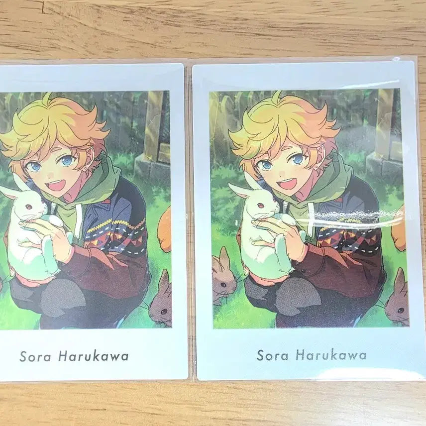 [BUNJANG] Ensemble Stars Harukawa Sora Photo Collection / 앙스타 파샷츠 파샤코레 하루카와 소라