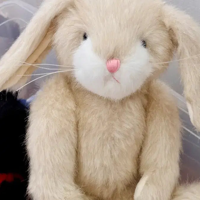 [BUNJANG] Boysbear Rare Ivory Two-tone Rabbit Plush Toy / 보이즈베어 희귀 레어 아이보리 투톤 토끼