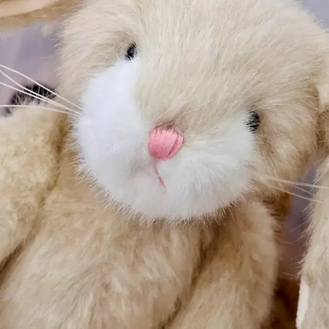 [BUNJANG] Boysbear Rare Ivory Two-tone Rabbit Plush Toy / 보이즈베어 희귀 레어 아이보리 투톤 토끼