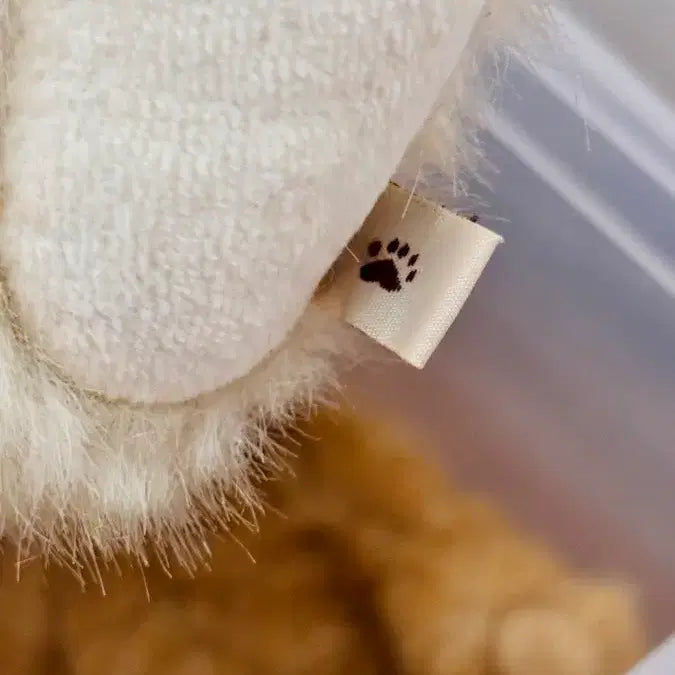 [BUNJANG] Boysbear Rare Ivory Two-tone Rabbit Plush Toy / 보이즈베어 희귀 레어 아이보리 투톤 토끼
