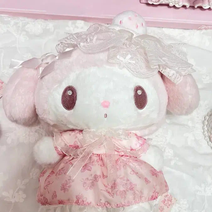 [SOLD OUT] 시로이치고 누이