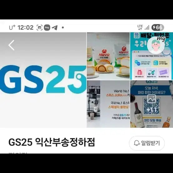 [SOLD OUT] 라코스테