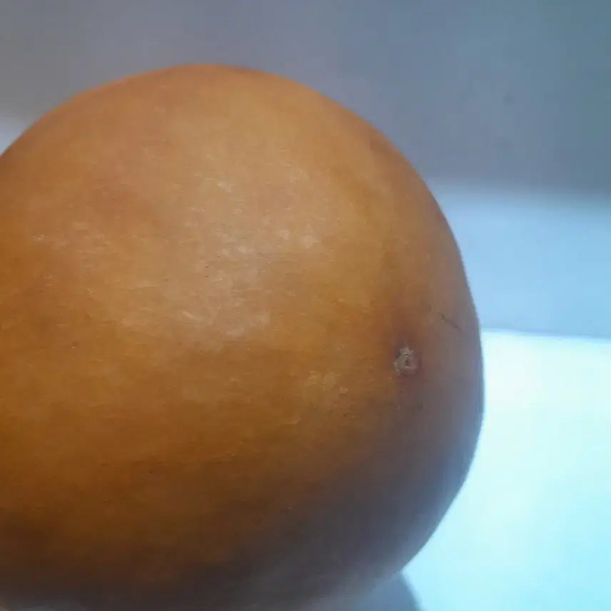 [BUNJANG] Gourd Ornament / 표주박 장식 소품