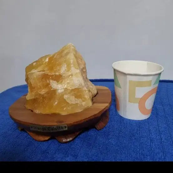 [BUNJANG] Orange Jade Paper Cup Comparison / 오렌지색상 옥 종이컵사이즈비교