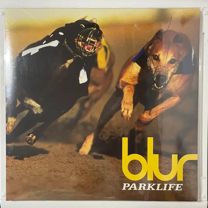 [BUNJANG] Blur &amp; Franz Ferdinand LP/CD Bundle Set (Sealed) / blur(블러) &amp; Franz Ferdinand(프란츠 퍼디난드)LP