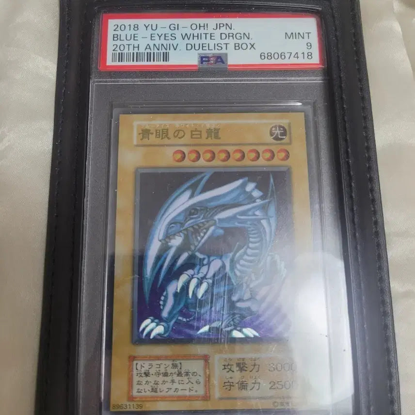 [BUNJANG] Yu-Gi-Oh! Blue-Eyes White Dragon Card Bundle / 일판 푸른눈의 백룡 일괄 팔아요.