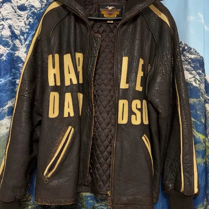 [BUNJANG] Vintage Harley-Davidson Leather Jacket / 빈티지 할리데이비슨 자켓