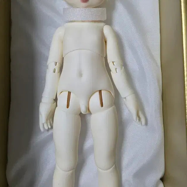 [BUNJANG] Volks USD Jebi Doll / 보크스 USD 제비 판매합니다