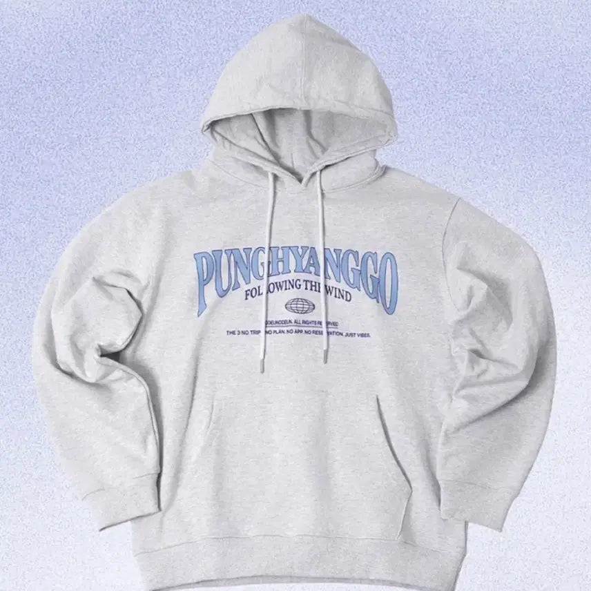 [BUNJANG] DdeunDdeun Light Gray Hoodie L Size MD / 뜬뜬 풍향고 라이트그레이 후드티  L 굿즈 MD