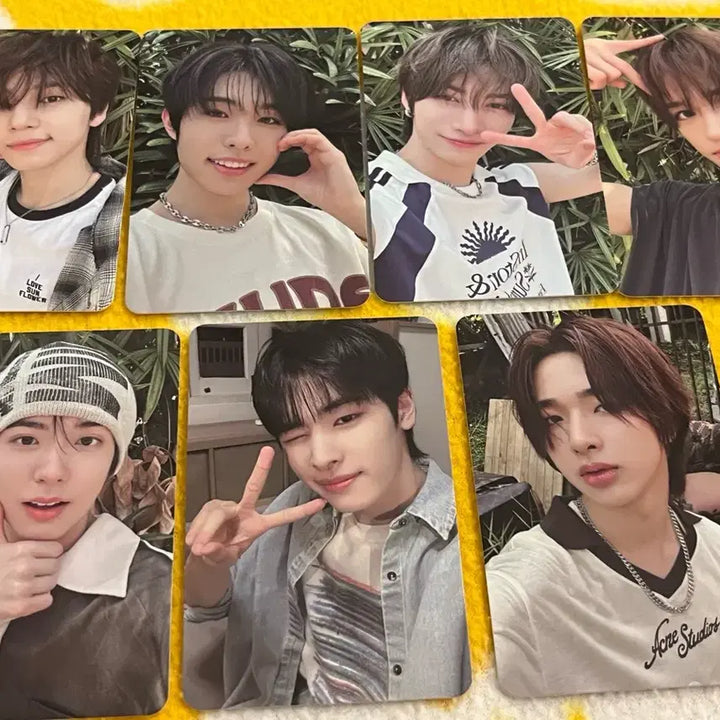 [BUNJANG] NEXZ Photocard Bundle Set / [일괄 양도]넥스지 포토카드 일괄 판매